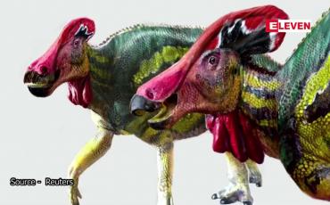 Embedded thumbnail for အမောက်ပါသည့် ဒိုင်နိုဆောမျိုးစိတ်သစ်ကို မက္ကဆီကိုတွင် တူးဖော်တွေ့ရှိ