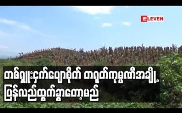 Embedded thumbnail for တစ်ရှူးငှက်ပျောစိုက် တရုတ်ကုမ္ပဏီအချို့ ပြန်လည်ထွက်ခွာတော့မည်