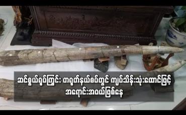 Embedded thumbnail for မြန်မာ့နိုင်ငံမှ ဆယ်စွယ်ရုပ်ကြွင်း တရုတ်နိုင်ငံနယ်စပ်မှာ  ကျပ်သိန်းသုံးထောင်ဖြင့် အရောင်းအဝယ် ဖြစ်ပြီး တန်ဖိုးဆက်လက်မြင့်နေ