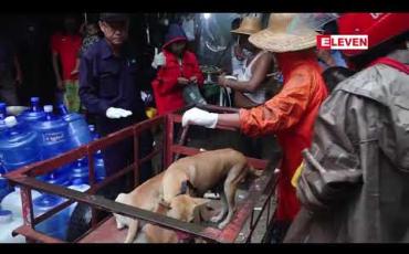 Embedded thumbnail for ကျပ် ၈၅သိန်းတန်ဖိုးရှိ ခွေးရူးပြန်ရောဂါကြိုတင်ကာကွယ်ဆေးအလုံး ၁၀၀၀၀ ကို ရန်ကုန်မြို့တော် စည်ပင် သာယာရေး ကော်မတီသို့ လှူဒါန်း 