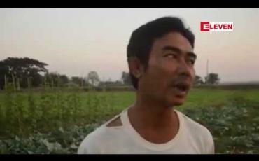 Embedded thumbnail for တောင်ငူဒေသထွက် ပန်းဂေါ်ဖီများ စျေးကျဆင်းနေသဖြင့် တောင်သူများ တွက်ခြေကိုက်မှု နည်းပါးနေဟုဆို 