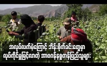 Embedded thumbnail for ကိုရိုနာဗိုင်းရပ်စ်နှင့်ပဋိပက္ခများကြောင့် အလုပ်အကိုင်မဲ့ အာဖဂန်နစ္စတန်ပြည်သူများ ဘိန်းစိုက်ခင်းများတွင် အလုပ်လုပ်မှုမြင့်တက် 
