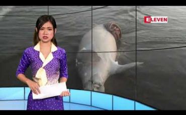 Embedded thumbnail for ဒီဇင်ဘာလ ၆ ရက်နေ့ နေ့လယ်ခင်း သတင်းအစီအစဉ် 