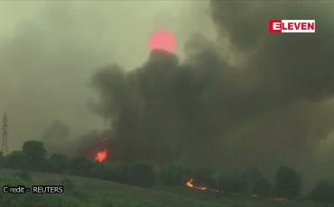 Embedded thumbnail for လေပြင်းများကြောင့် အေသင်မြို ့အနီးတွင် တောမီးလောင်မှုများပြန်လည်ဖြစ်ပွာ