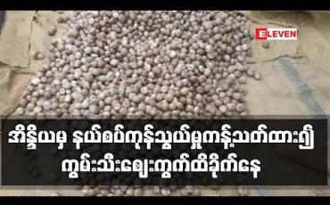 Embedded thumbnail for တတိယနိုင်ငံမှ ကွမ်းသီး ဝင်ရောက်မှုနှင့် အိန္ဒိယမှ နယ်စပ်ကုန်သွယ်မှု ကန့်သတ်ထားခြင်းတို့ကြောင့် ကွမ်းသီးဈေးကွက် ထိခိုက်နေ ဟုဆို