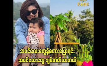 Embedded thumbnail for အပင်လေးတွေ နဲ့ စကားပြောရင်း အပင်လေးတွေ ကိုချစ်လာတယ်. 