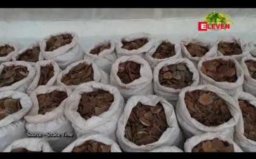 Embedded thumbnail for ဒေါ်လာ ၃၈ သန်းတန်ဖိုးရှိ သင်းခွေချပ်အကြေးခွံများကို စင်ကာပူတွင် တစ်ပတ်အတွင်း ဒုတိယအကြိမ် သိမ်းဆည်း ရမိ 