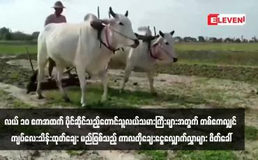 Embedded thumbnail for လယ် ၁၀ ဧကအထက် ပိုင်ဆိုင်သည့်တောင်သူလယ်သမားကြီးများအတွက် တစ်ဧကလျှင် ကျပ်လေးသိန်းထုတ်ချေးမည်ဖြစ်သည့် ကာလတိုချေးငွေလျှောက်လွှာများ ဖိတ်ခေါ်