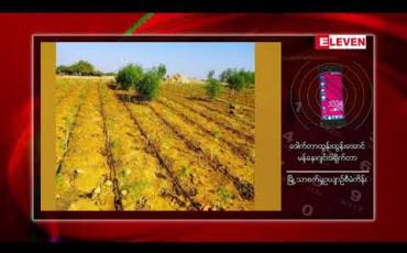 Embedded thumbnail for ဆေးခြောက်စိုက်ခင်းဟု လူမှုကွန်ရက် စာမျက်နှာများတွင် ပျံ့နှံ့နေသော မန္တလေးမြို့သာစက်မှုဥယျာဉ်အနီးရှိ စိုက်ခင်းမှာ အမေရိကန် ကုမ္ပဏီတစ်ခုမှ လာရောက် သုတေသနပြု စိုက်ပျိုးနေသည့် ဆေးဖက်ဝင် လျော်ဖြူ စိုက်ခင်းဖြစ်ကြောင်း သိရ