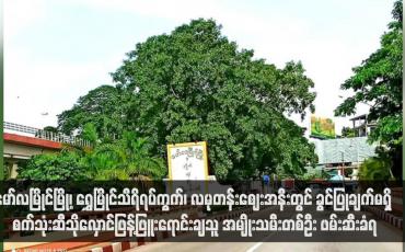 Embedded thumbnail for မော်လမြိုင်မြို့၊ ရွှေမြိုင်သီရိရပ်ကွက်၊ လမုတန်းဈေးအနီးတွင် ခွင်ပြုချက်မရှိ စက်သုံးဆီသိုလှောင်ဖြန့်ဖြူးရောင်းချသူ အမျိုးသမီးတစ်ဦး ဖမ်းဆီးခံရ (ရုပ်သံ)