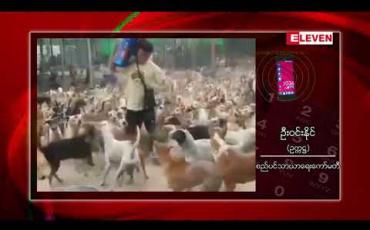 Embedded thumbnail for ခွေးကောင်ရေ ၇၀၀ခန့်ရှိRoyal Heart ခွေးစောင့်ရှောက်ရေးဂေဟာအားစစ်ကိုင်းစက်မှုဇုန်အတွင်းပြောင်းရွေ့ဖွင့်လှစ်မည်