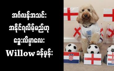 Embedded thumbnail for ခရိုအေးရှားကို အင်္ဂလန်အသင်း အနိုင်ရလိမ့်မည်ဟု ခွေးလိမ္မာလေး Willow ခန့်မှန်း