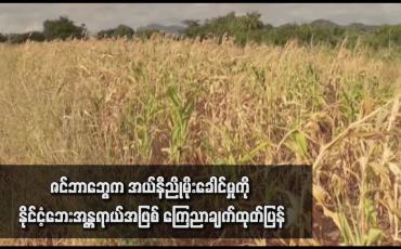 Embedded thumbnail for ဇင်ဘာဘွေက အယ်နီညိုမိုးခေါင်မှုကို နိုင်ငံ့ဘေးအန္တရာယ်အဖြစ် ကြေညာချက်ထုတ်ပြန်