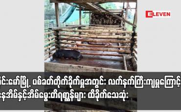 Embedded thumbnail for ဝိုင်းမော်မြို့ ပစ်ခတ်တိုက်ခိုက်မှုအတွင်း လက်နက်ကြီးကျရောက်မှုကြောင့် နေအိမ်နှင့် အိမ်မွေးတိရစ္ဆာန်များ ထိခိုက်သေဆုံး