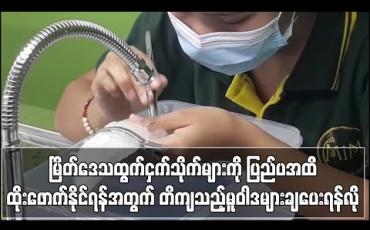 Embedded thumbnail for မြိတ်ဒေသထွက်ငှက်သိုက်များကို ပြည်ပအထိဈေးကွက်ထိုးဖောက်နိုင်ရန်အတွက် တိကျသည့်မူဝါဒများချပေးရန် လိုအပ်နေကြောင်းသိရ 