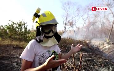 Embedded thumbnail for မာတိုဂရော့ဆိုက ဘရာဇီးတောမီးများသည် လူကြောင့်လောင်သောတောမီးများဖြစ်သည်ဟု သုတေသီများပြောကြား