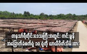 Embedded thumbnail for တနသာၤရီတိုင်းအတွင်းမှ ကျန်းမာရေးလမ်းညွှန်ချက်နှင့်မကိုက်ညီသည့် ကင်းမွန်အခြောက်ခံစက်ရုံ ၁၀ ရုံကို ယာယီပိတ်ထား