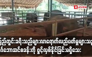 Embedded thumbnail for ပြည်တွင်းခရီးသည်များ လာရောက်လည်ပတ်မှုများသည့် ဝင်္ဂဘောဆင်စခန်းကို ဖွင့်လှစ်နိုင်ခြင်းမရှိသေး 