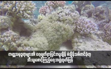 Embedded thumbnail for ကမ္ဘာ့သမုဒ္ဒရာများ၏ ရေမျက်နှာပြင်အပူချိန် စံချိန်သစ်တင်ခဲ့ဟု အီးယူစောင့်ကြည့်ရေးအဖွဲ့ထုတ်ပြန်