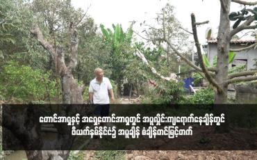 Embedded thumbnail for တောင်အာရှနှင့် အရှေ့တောင်အာရှတွင် အပူလှိုင်းကျရောက်နေချိန်တွင် ဗီယက်နမ်နိုင်ငံ၌ အပူချိန် စံချိန်တင်မြင့်တက်