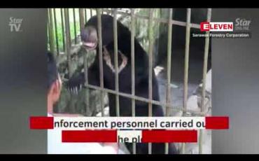 Embedded thumbnail for  ဆီဘူးအနီးက တရားမဝင် တောရိုင်းတိရစ္ဆာန်ခြံတစ်ခု စီးနင်းခံရမှုအတွင်း ရှားပါးတိရစ္ဆာန် နှစ်ဒါဇင်ကျော်ကို ကယ်တင်နိုင်ခဲ့ 