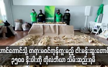 Embedded thumbnail for တရားမဝင် ကုန်ကူးမည့် ငါးမန်းဆူးတောင် ၃၅၀၀ နီးပါးကို ကိုလံဘီယာ အာဏာပိုင်များ သိမ်းဆည်းရမိ