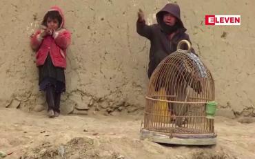 Embedded thumbnail for အာဖဂန်နစ္စတန်တွင် အကြမ်းဖက်မှုများ မြင့်တက်နေ