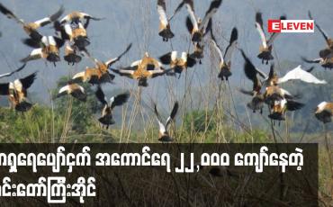 Embedded thumbnail for အင်းတော်ကြီးအိုင်မှာ အာရှရေပျော်ငှက်စာရင်းကောက်ယူချက် အကောင်ရေ ၂၂၀၀၀ ကျော် ရရှိ