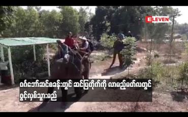 Embedded thumbnail for ဝင်္ဂဘော်ဆင်စခန်းတွင် ဆင်ပြတိုက်ကို လာမည့်မတ်လတွင် ဖွင့်လှစ်သွားမည်