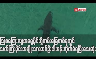Embedded thumbnail for သြစတြေးလျအရှေ့ပိုင်းရှိကမ်းခြေတစ်ခုတွင် သက်ကြီးပိုင်းအမျိုးသားတစ်ဦးငါးမန်းကိုက်ခံရပြီးသေဆုံး 