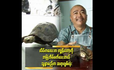 Embedded thumbnail for လိပ်လေးက ကျွန်တော် နဲ့ ကံစပ်ပြီး ရောက်လာပါတယ်။