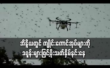 Embedded thumbnail for အိန္ဒိယတွင် ကျိုင်းကောင်အုပ်များကို ဒရုန်းများဖြင့်ပိုးသတ်နှိမ်နင်းနေ 