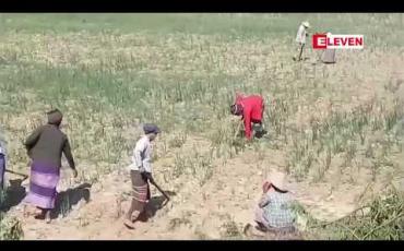 Embedded thumbnail for မန္တလေးတိုင်းအတွင်းရှိ တောင်သူများထံမှ ၂၀၁၈ မိုးရာသီစိုက်စရိတ်ချေးငွေ ကျပ်သန်း ၇၂၇၅၈.၁၅သန်း ပြန်လည်ကောက်ခံ ရရှိခဲ့