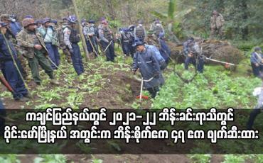 Embedded thumbnail for ဝိုင်းမော်မြို့နယ် အတွင်းက ဘိန်းစိုက်ဧက ၄၇ ဧက ဖျက်ဆီးထား
