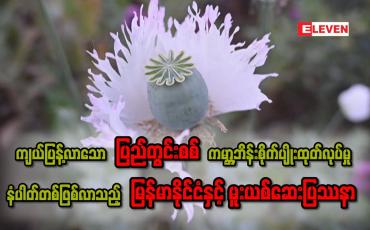 Embedded thumbnail for ■ ကမ္ဘာ့ဘိန်းစိုက်ပျိုးမှု နံပါတ်တစ်ဖြစ်လာသည့် မြန်မာနိုင်ငံ ... အပိုင်း (၂)