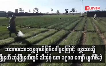 Embedded thumbnail for သဘာဝဘေးအန္တရာယ်ဖြစ်ပေါ်မှုကြောင့် မန္တလေးတိုင်းဒေသကြီးအတွင်း မြို့နယ် သုံးမြို့နယ်တွင် သီးနှံ့စုံ ဧက ၁၉၀၀ ကျော် ပျက်စီးခဲ့