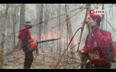 Embedded thumbnail for ထိုင်းနိုင်ငံမြောက်ပိုင်းတွင် တောမီးကူငြှိမ်းရင်း အမျိုးသားတစ်ဦး တောင်စောင်းပေါ်မှ ပြုတ်ကျသေဆုံး 