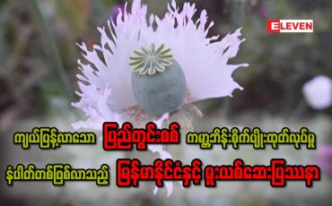 Embedded thumbnail for ကျယ်ပြန့်လာသော ပြည်တွင်းစစ်၊ ကမ္ဘာ့ဘိန်းစိုက်ပျိုးထုတ်လုပ်မှု နံပါတ်တစ်ဖြစ်လာသည့်