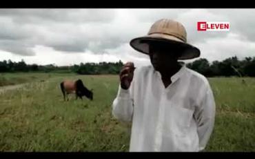 Embedded thumbnail for နဝင်းချောင်းရေလျှံမှုကြောင့် ပေါက်ခေါင်းမြို့နယ်အတွင်း နှမ်းခင်းဧက ၇၀၀ ခန့်ပျက်စီး