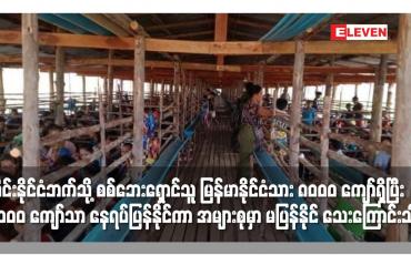 Embedded thumbnail for ထိုင်းနိုင်ငံဘက်သို့ စစ်ဘေးရှောင်သူ မြန်မာနိုင်ငံသား ၈၀၀၀ ကျော်ရှိပြီး ၁၀၀၀ ကျော်သာ နေရပ်ပြန်နိုင်ကာ အများစုမှာ မပြန်နိုင် သေးကြောင်း သိရ