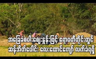 Embedded thumbnail for အခြေခံစပါးစျေးနှုန်းဖြင့်ဝယ်ယူမှုအရ ဧရာဝတီတိုင်းတွင် ဆန်အိတ်ပေါင်း ၂၆ဝဝဝကျော် အနက် လေးထောင်ကျော် လက်ခံရရှိ