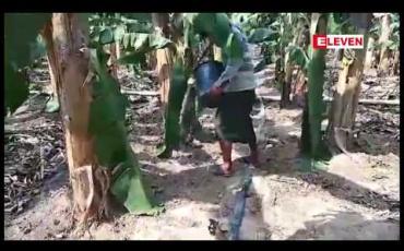 Embedded thumbnail for ကချင်ပြည်နယ်အတွင်းက  စိုက်ပျိုးရေး လုပ်ငန်းများကို  ရင်းနှီးမြုပ်နှံမှု လုပ်ထုံးလုပ်နည်းများအတိုင်း ကိုင်တွယ်မည်ဟု ပြည်နယ်အစိုးရပြော 