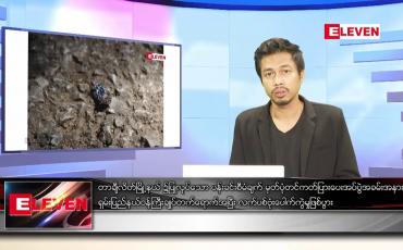Embedded thumbnail for ဇန်နဝါရီ ၁၀ ရက် နံနက်ခင်းသတင်းအစီအစဉ်