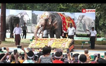 Embedded thumbnail for Hello Pets(ရုပ်သံအစီအစဉ်)