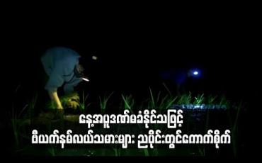 Embedded thumbnail for နေ့အပူဒဏ်ကို မခံနိုင်သဖြင့် ဗီယက်နမ်လယ်သမားများ ညပိုင်းတွင် ကောက်စိုက်