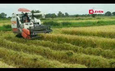 Embedded thumbnail for စပါးတင်းတစ်ရာလျှင် အခြေခံဈေးနှုန်း ကျပ်ငါးသိန်းဖြင့် ဝယ်ယူရန် သတ်မှတ်