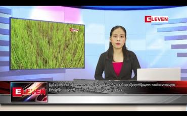Embedded thumbnail for သြဂုတ် လ ၁၂ ရက်နေ့ နံနက်ခင်းသတင်းအစီအစဉ် 