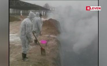 Embedded thumbnail for H10N3 ကြက်ငှက်တုပ်ကွေးရောဂါ လူတွင် ပထမဆုံး ကူးစက်မှုကို တွေ့ရှိရဟု တရုတ်အာဏာပိုင်များ ထုတ်ပြန်