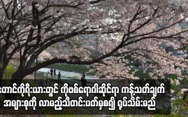 Embedded thumbnail for တောင်ကိုရီးယားတွင် COVID-19 ရောဂါဆိုင်ရာ ကန့်သတ်ချက် အများစုကိုရုပ်သိမ်းမည်