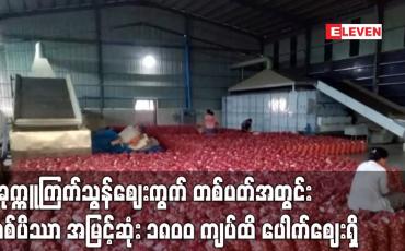 Embedded thumbnail for ပခုက္ကူကြက်သွန်ဈေးကွက် တစ်ပတ်အတွင်း တစ်ပိဿာ ၅၀၀ ကျပ်ခန့် မြင့်တက်လာပြီး တစ်ပိဿာ အမြင့်ဆုံး ၁၈၀၀ ကျပ်ထိ ပေါက်ဈေးရှိ (ရုပ်သံ)